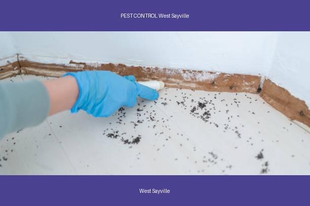 PEST CONTROL West Sayville